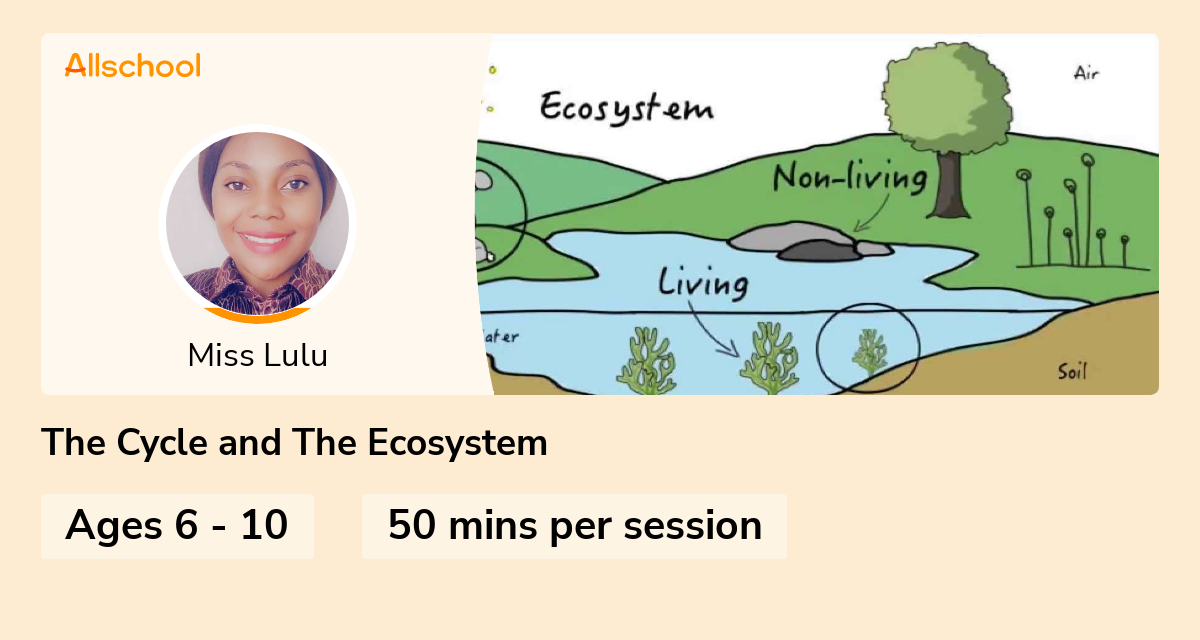 The Cycle and The Ecosystem | Live interative class for ages 6-10 ...