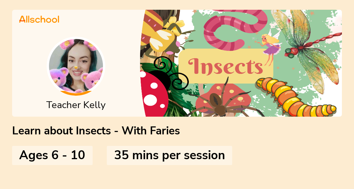 Learn about Insects - With Faries | Live interative class for ages 6-10 ...
