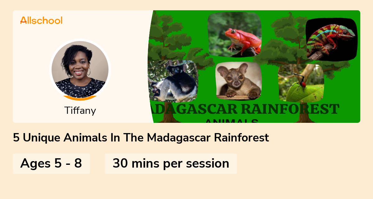 5 Unique Animals In The Madagascar Rainforest Live interative class