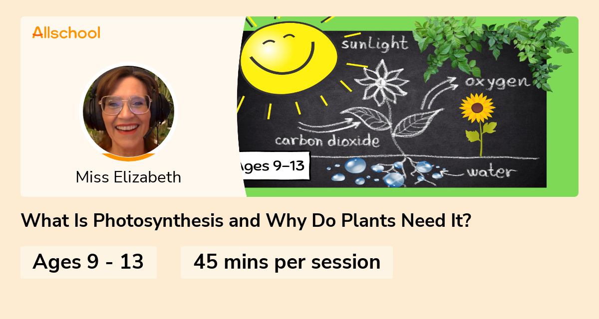 What Is Photosynthesis and Why Do Plants Need It? Live interative